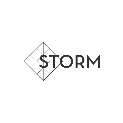 Слово шторм. Шторм лого. ООО шторм логотип. ФК шторм эмблема. VGJ Storm логотип.